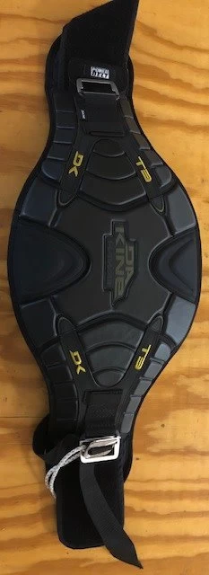 Dakine (Discontinued) T-3 Harness Black/Gold Medium